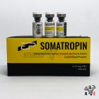 EvalPharm® Somatropin 100iu 10 Flakon